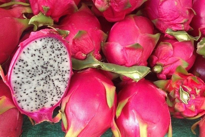 dragon fruit on the table