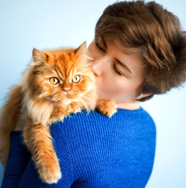 kissing her ginger red furry persian cat