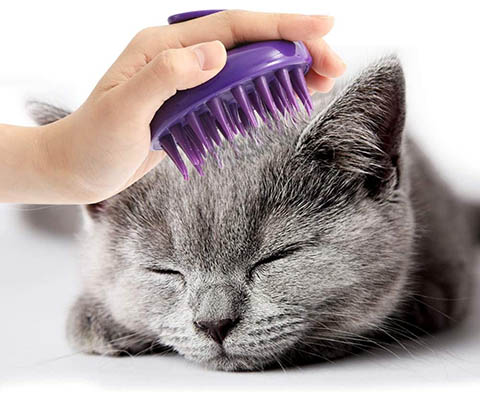 Celemoon Cat Brush