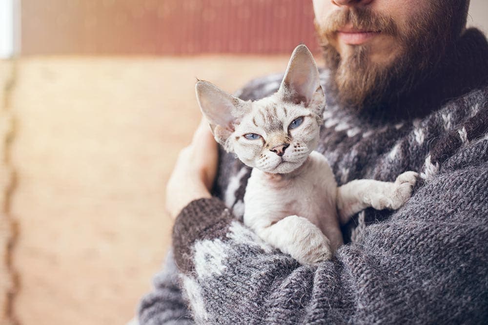 cat breeder and his devon rex cat