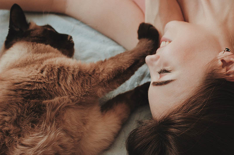 cat playing with woman owner