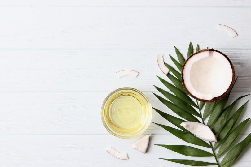 coconut oil, coconuts and green tropical leaves