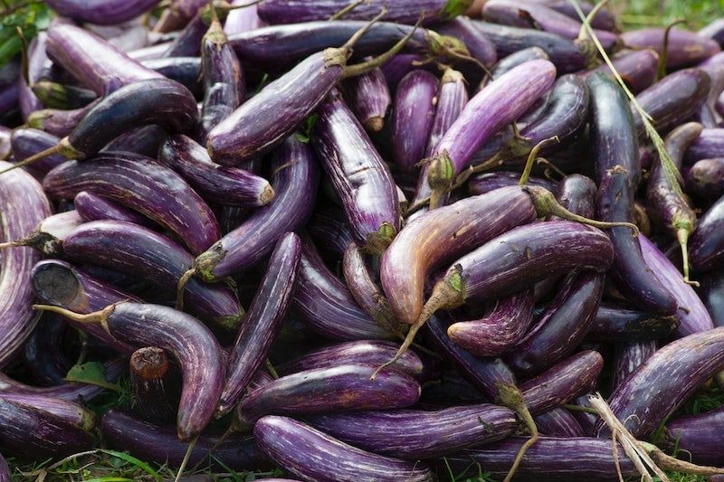 Eggplants