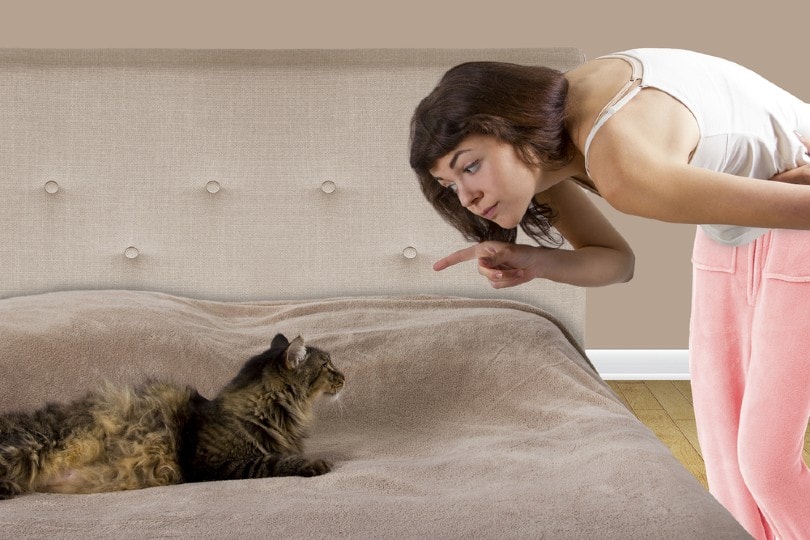 young woman scolding her cat on the bed